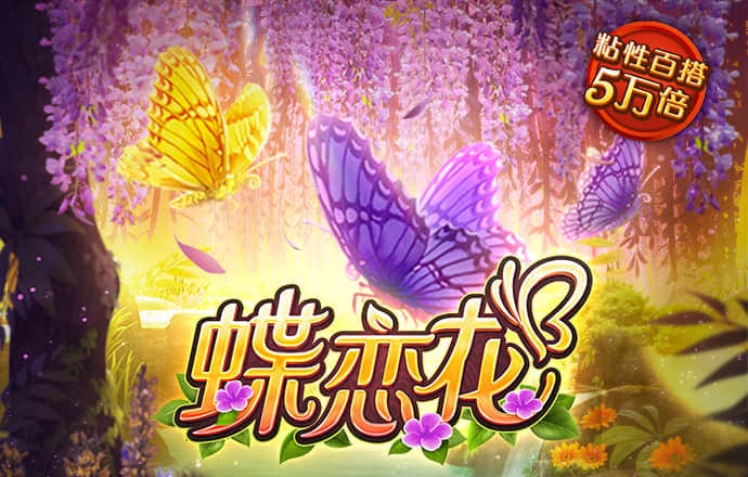 艾尚体育官网登录截图4